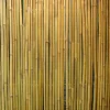 Bambuaita Home4you In Garden 150x300 cm
