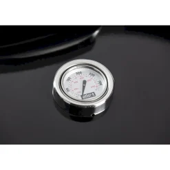 Brikettigrilli Weber Master Touch GBS E-5750 2019
