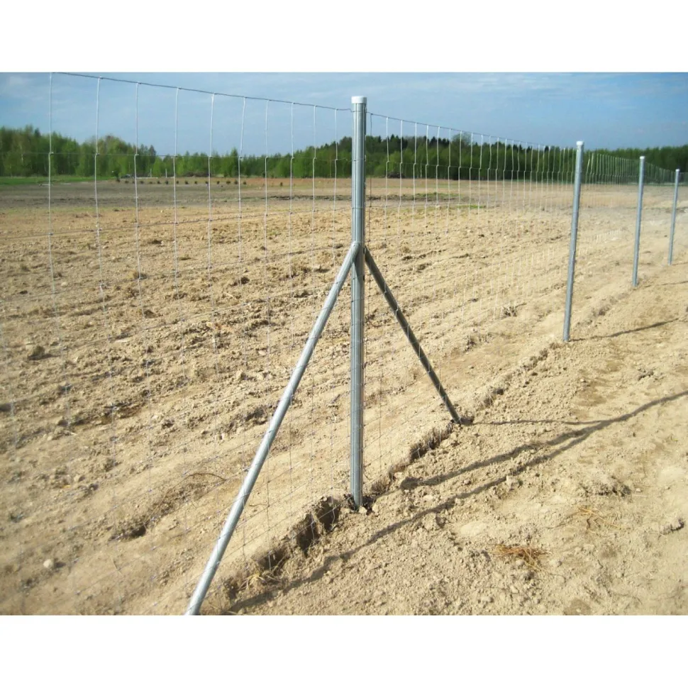 Eläinverkko Zn 1,0x50 m muuttuva silmäkoko