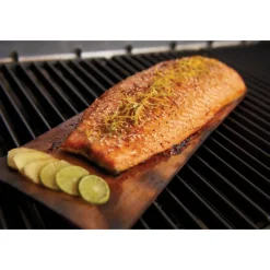 Grillauslankut Broil King 2kpl setripuu