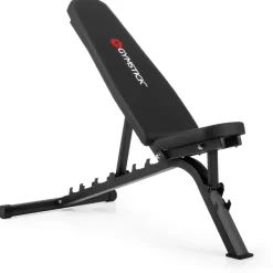 Harjoittelupenkki Gymstick Fitness Bench