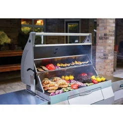 Hiiligrilli Napoleon PRO605