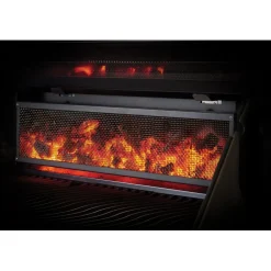 Hiiligrilli Napoleon PRO605