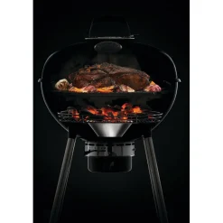 Hiiligrilli Napoleon PRO22-L-3