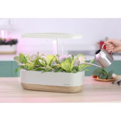 Hydroponinen vesiviljelyjärjestelmä Greenline Urban Growing P10