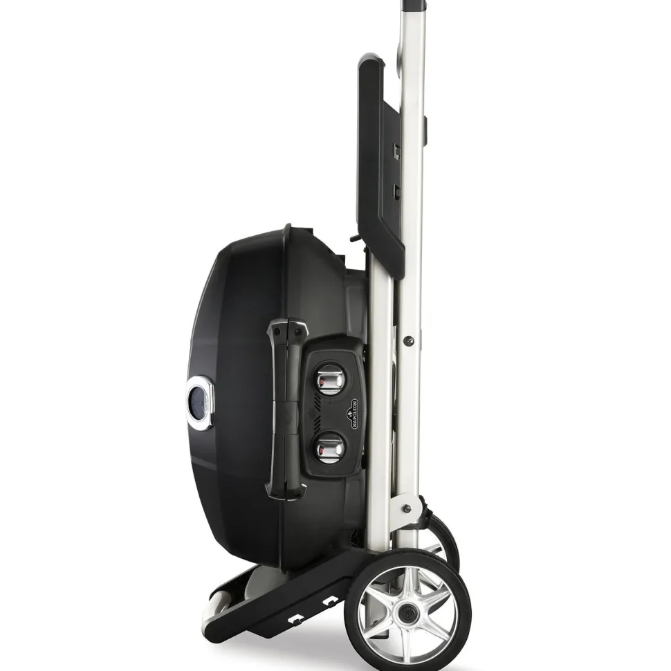 Kaasugrilli Napoleon TravelQ PRO285X, 2 poltinta