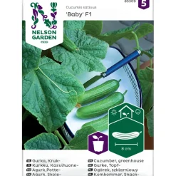 Kasvihuonekurkku Nelson Garden Baby F1, siemenet