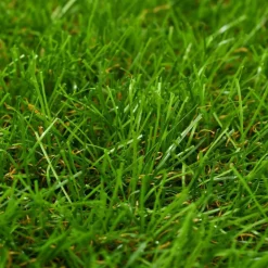 Keinonurmi 1x5 m/40 mm vihreä