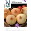 Keltasipuli Nelson Garden Stuttgarter Riesen, siemenet