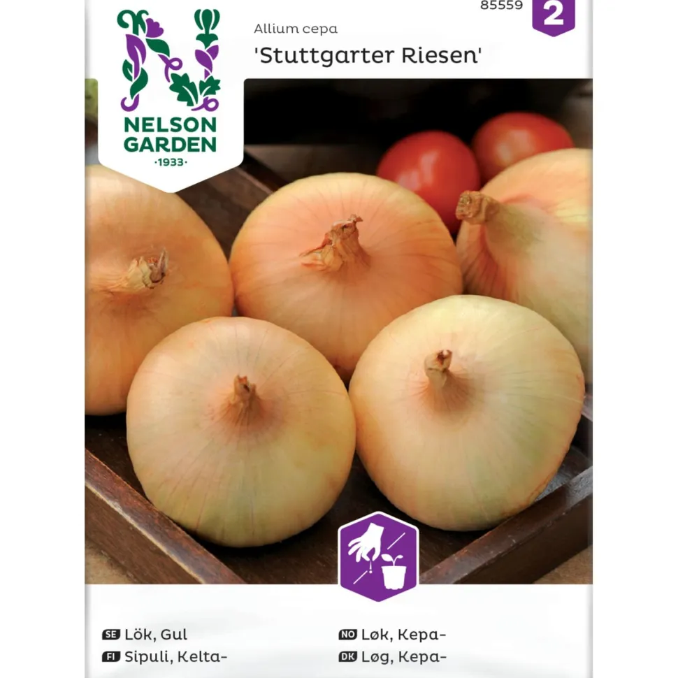 Keltasipuli Nelson Garden Stuttgarter Riesen, siemenet