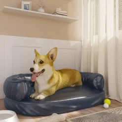 Koiransänky ergonominen vaahtomuovi, eri kokoja ja värejä