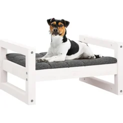 Koiransänky mänty, eri värejä ja kokoja