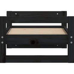 Koiransänky mänty, eri värejä ja kokoja