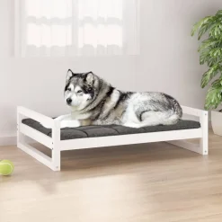 Koiransänky mänty, eri värejä ja kokoja