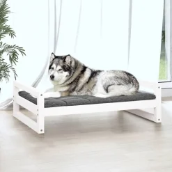 Koiransänky mänty, eri värejä ja kokoja