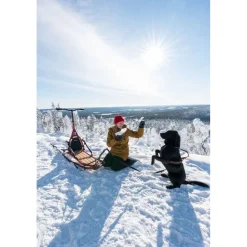 Koirarekikelkka Esla Adventure