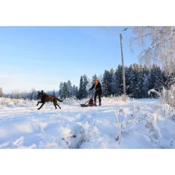 Koirarekikelkka Esla Adventure