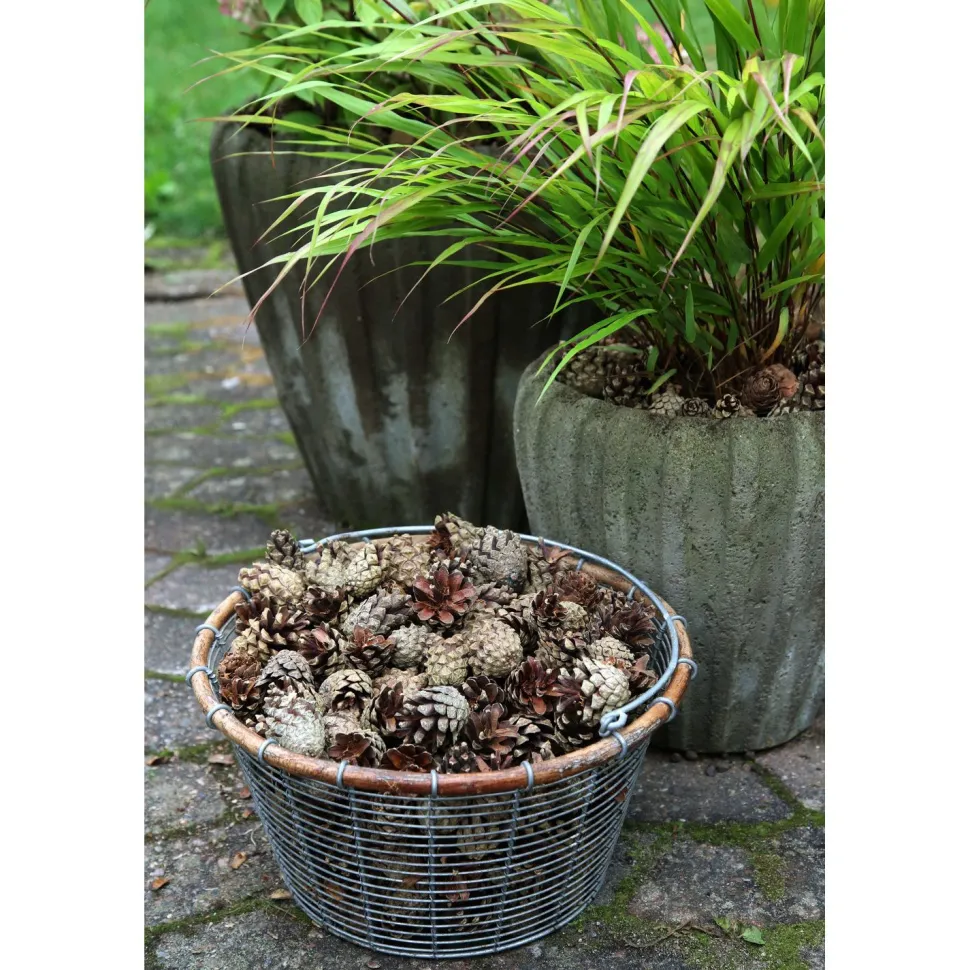 Käpykate Kekkilä 50 säkkiä x 30l/lava, 1500 litraa