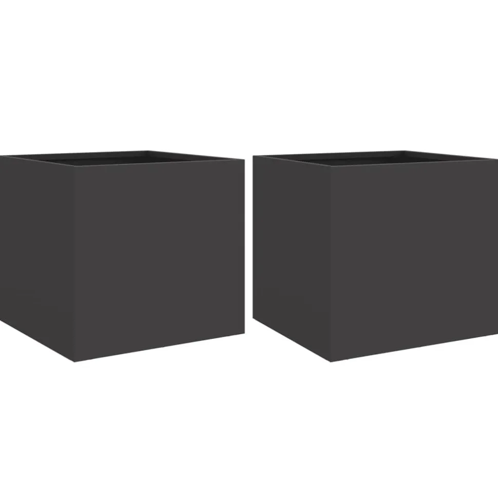Kukkalaatikot 2 kpl musta 32x30x29 cm teräs (41536)