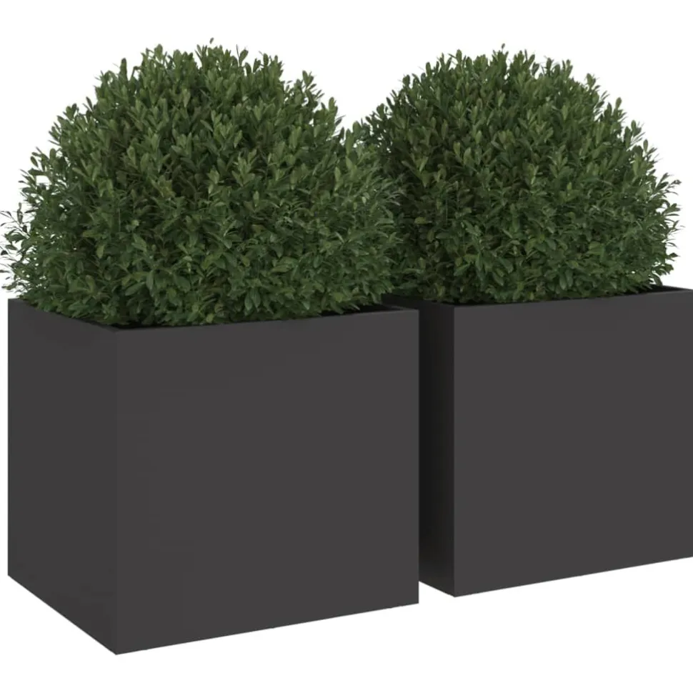 Kukkalaatikot 2 kpl musta 32x30x29 cm teräs (41536)