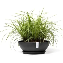 Kukkaruukku Ecopots Vienna, eri kokoja ja värejä