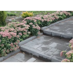 Muurikivi 300x150x120 mm sileä musta