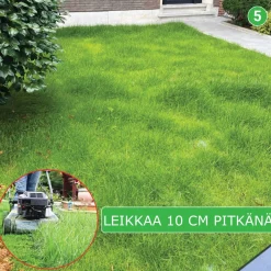 Nurmikon siemenmatto Turfquick Villa Classic, 40 m²