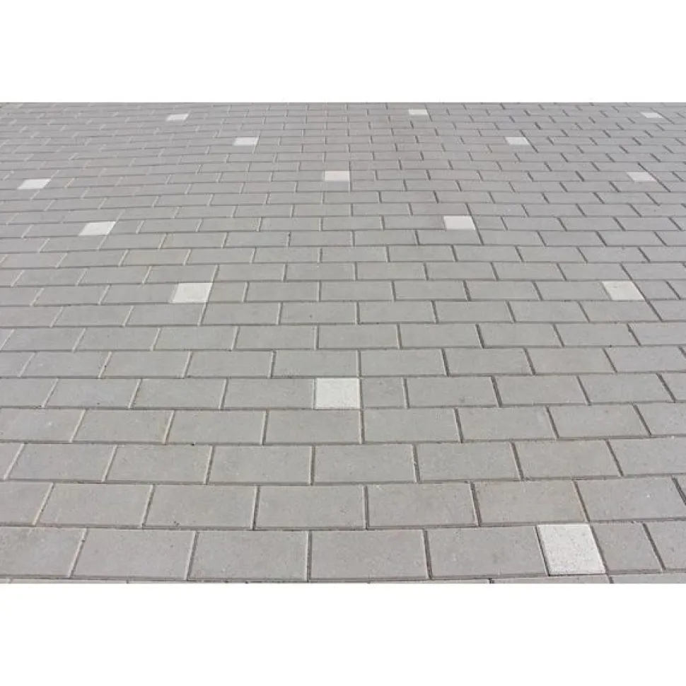 Pihakivi Rudus Kartanokivi 80 278x138x80 mm sileä harmaa