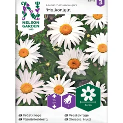 Päivänkakkara Nelson Garden Maikönigin, siemenet