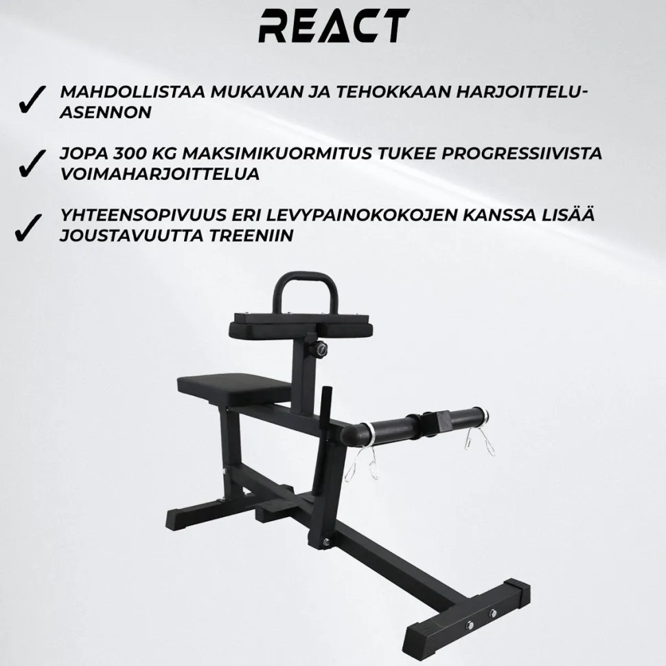 Pohjelaite React 100