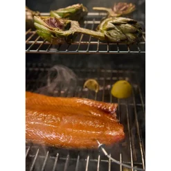 Puupellettigrilli Weber Smoque XL 500