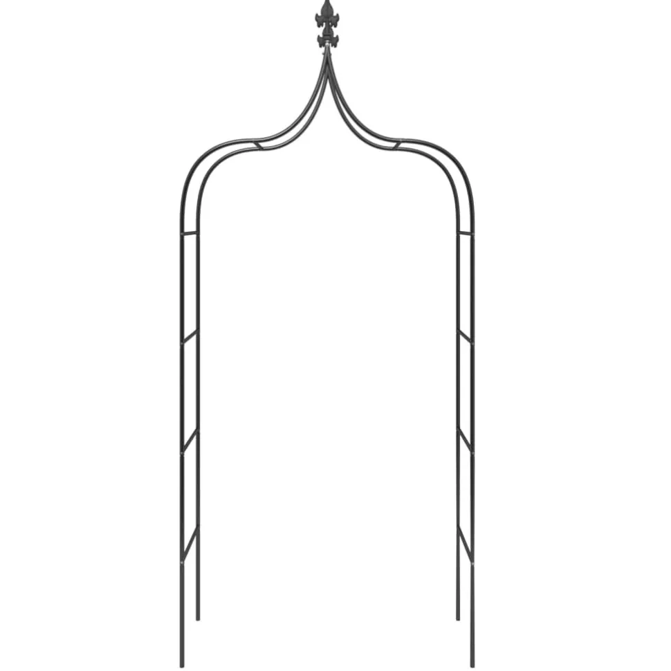 Puutarhakaaret 2 kpl 120x38x260 cm teräs musta