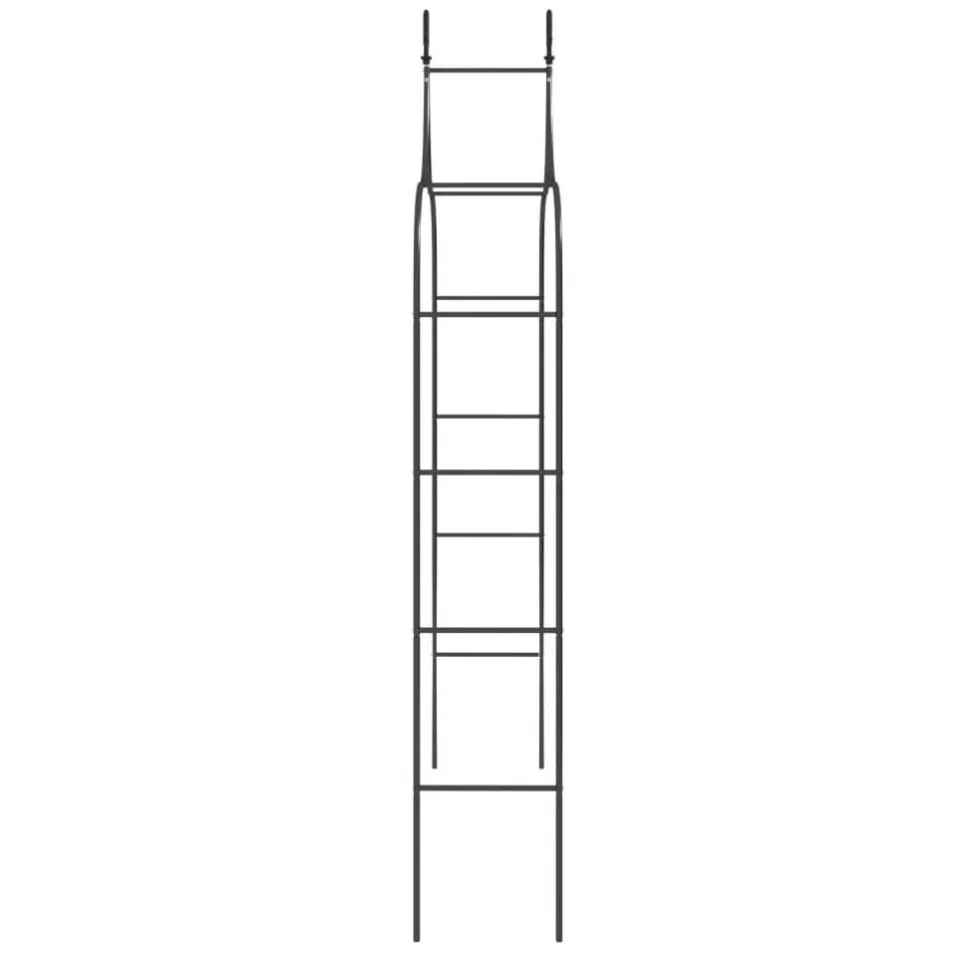 Puutarhakaaret 2 kpl 120x38x260 cm teräs musta