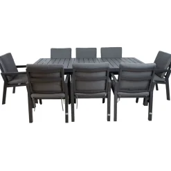 Puutarhakalustesetti Home4You TOMSON pöytä ja 8 tuolia, harmaa