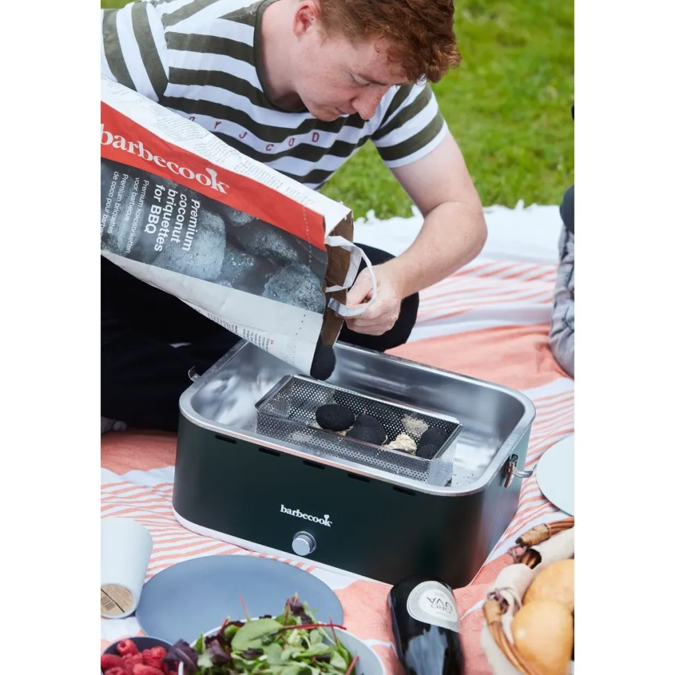 Pöytägrilli Barbecook Carlo, harmaa