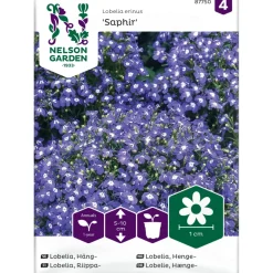 Riippalobelia Nelson Garden Saphir, siemenet