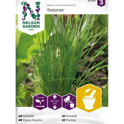 Ruohosipuli Nelson Garden Dolores, siemenet