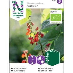 Ruusupapu Nelson Garden Lady Di Organic, siemenet