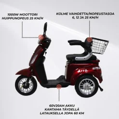 Senioriskootteri Arvo P300