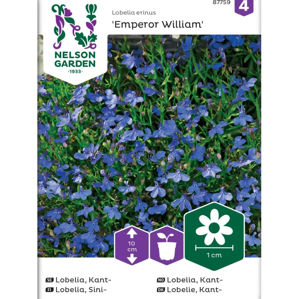 Sinilobelia Nelson Garden Emperor William, siemenet