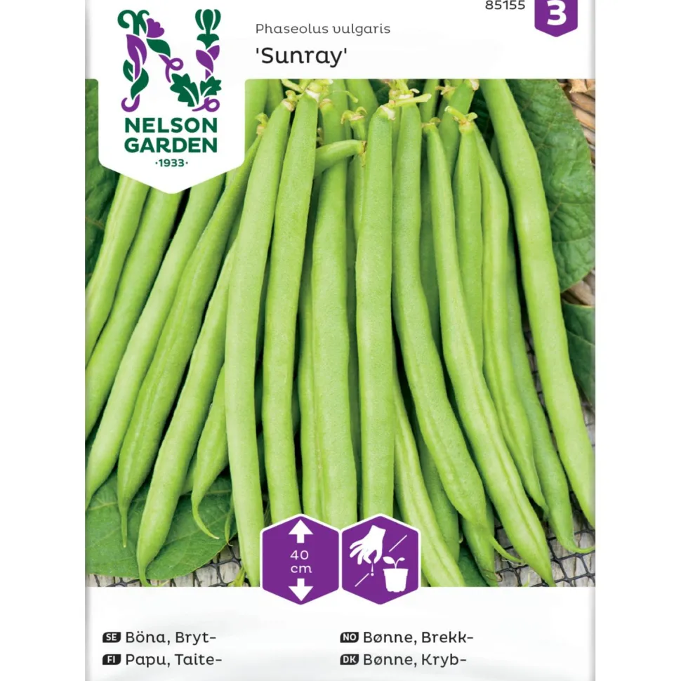 Taitepapu Nelson Garden Sunray, siemenet