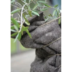Talvisuojavilla kasveille Nelson Garden, 150x50cm