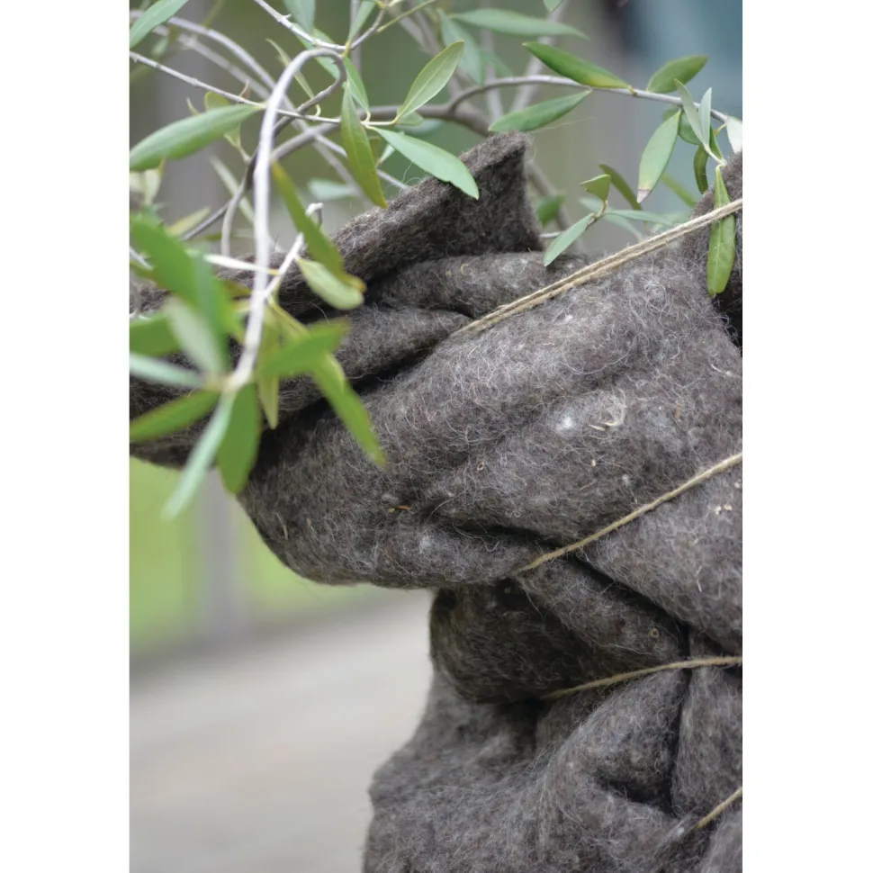 Talvisuojavilla kasveille Nelson Garden, 150x50cm