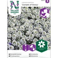 Tuoksupielus Nelson Garden Carpet of Snow, siemenet
