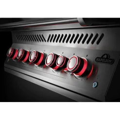 Upotettava kaasugrilli Napoleon BIG38